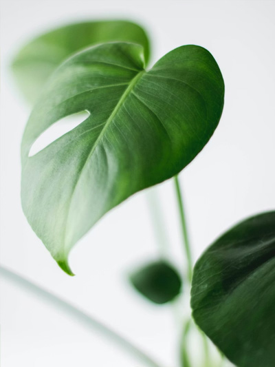 omgeving van psycholoog praktijk Breda