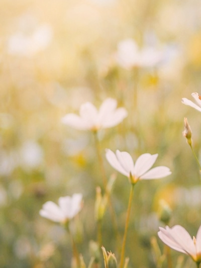 sfeerafbeelding van Psycholoog Breda